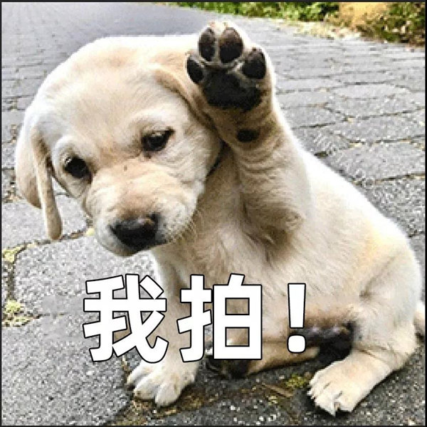 2_副本.jpg
